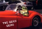 Geico в автомобиле